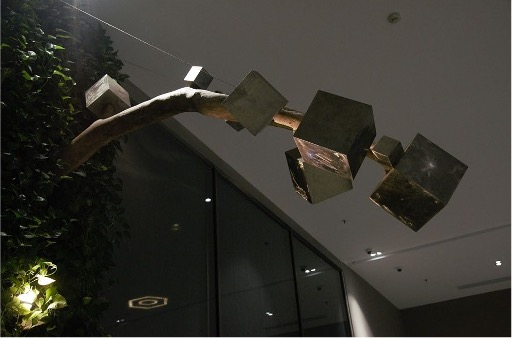 Branch