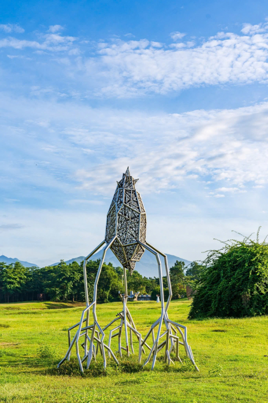 Hạt mầm 2