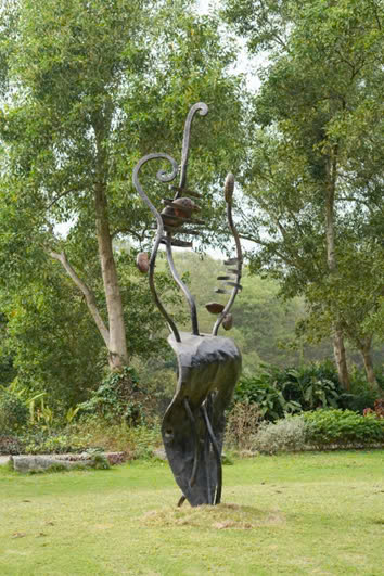 Rừng Nguyên Sinh 1